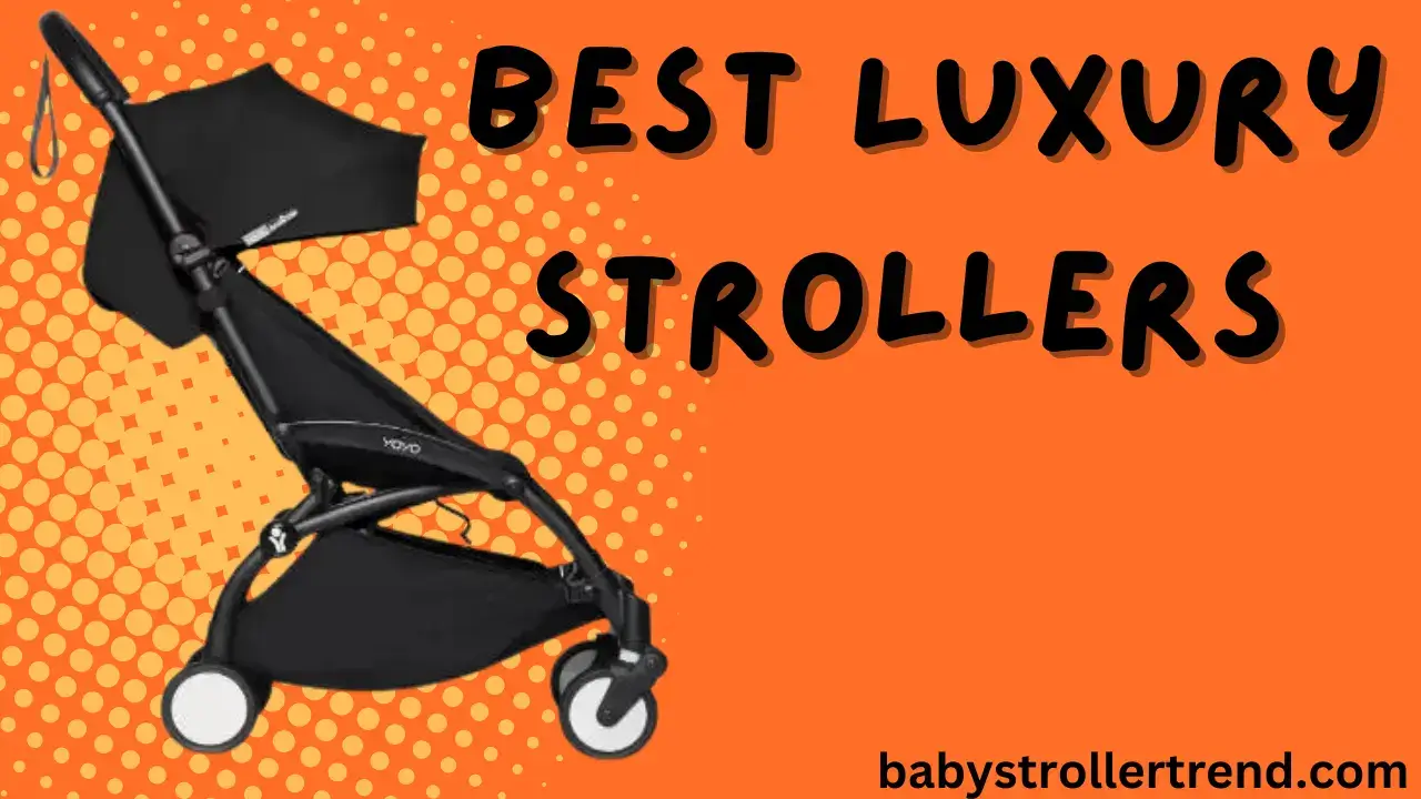 Best Luxury Strollers